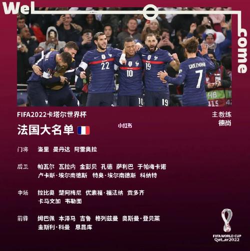 欧洲杯名单解析之法国（欧洲杯法国国家队最新名单）