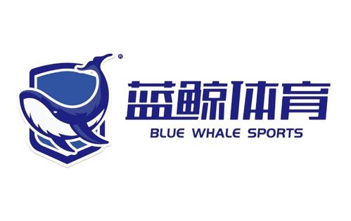 澳门蓝鲸体育官方入口（蓝鲸体育网站）