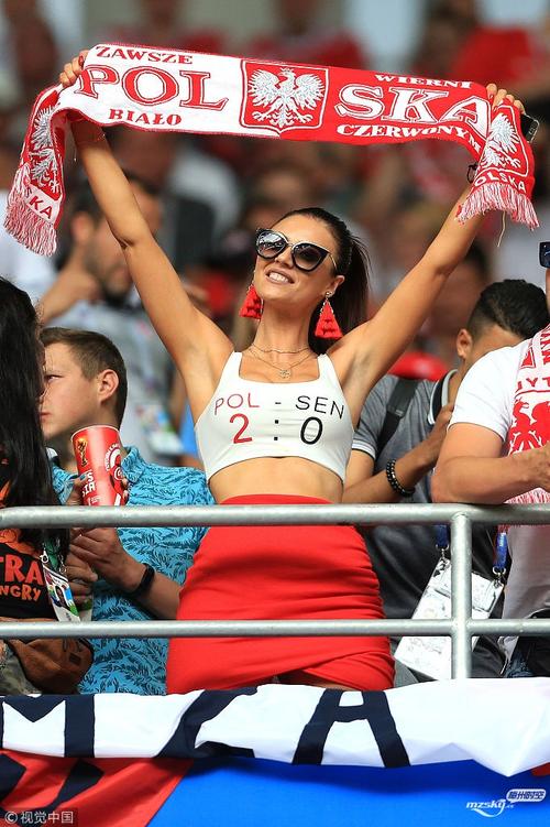 2016欧洲杯波兰女球迷（2020欧洲杯波兰队）
